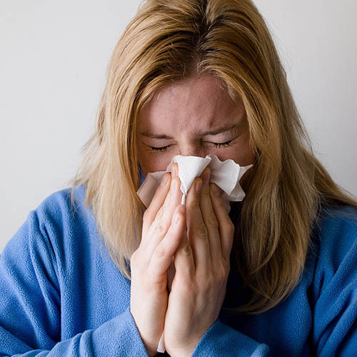 Vue interieure de la Pharmacie HUAULT